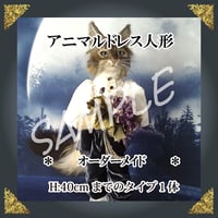 ＊－　ご注文ドレス人形　－＊約40㎝ドレスタイプ１体