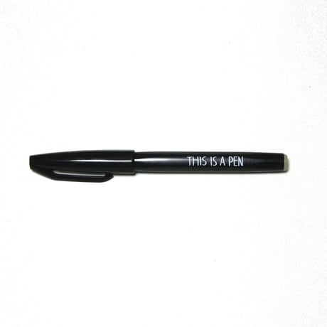 THIS IS A PEN（黒）