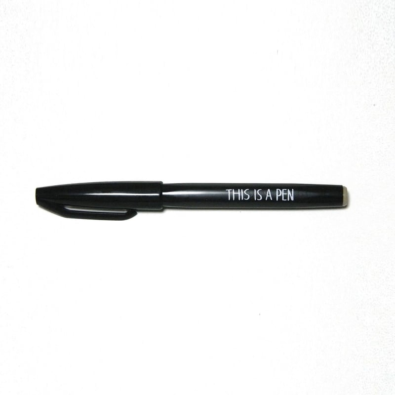 THIS IS A PEN（黒） | N store