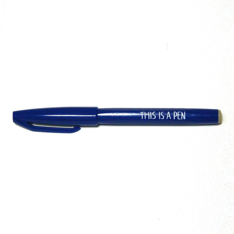 THIS IS A PEN（青） | N store