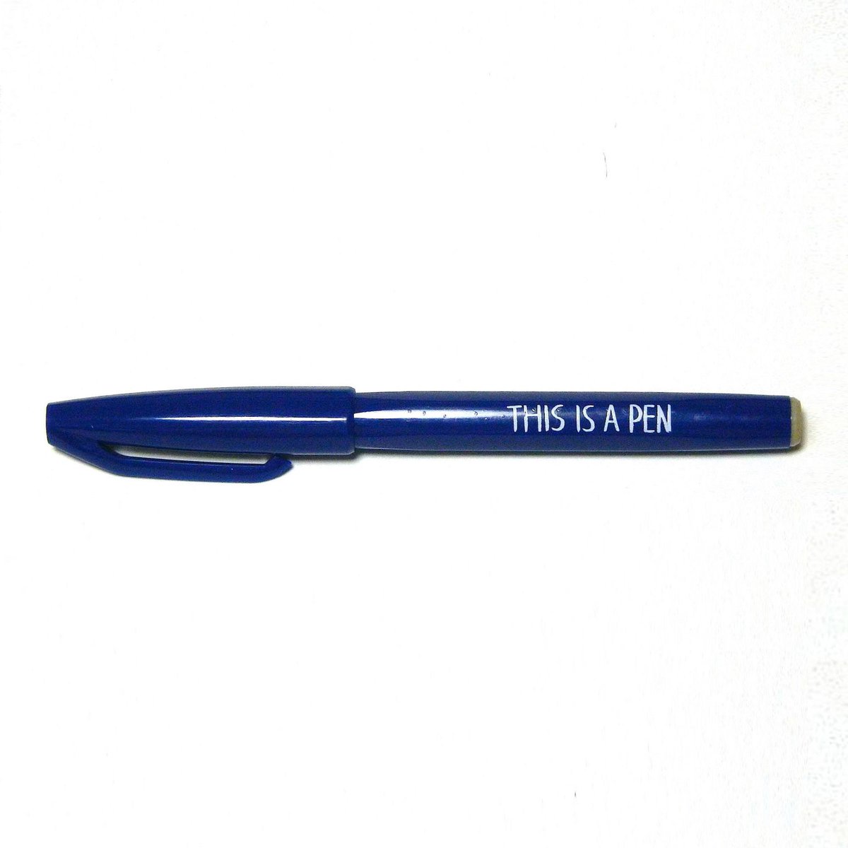 THIS IS A PEN（青） | N store