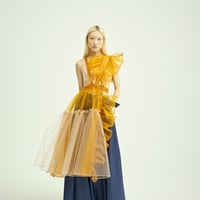 SHIROMA 25-26A/W organza layered dress
