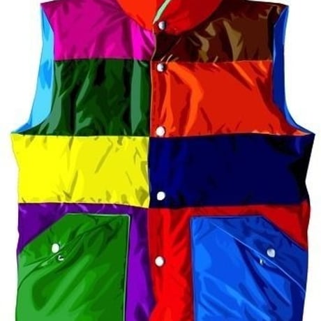 Color downvest（5.6oz）