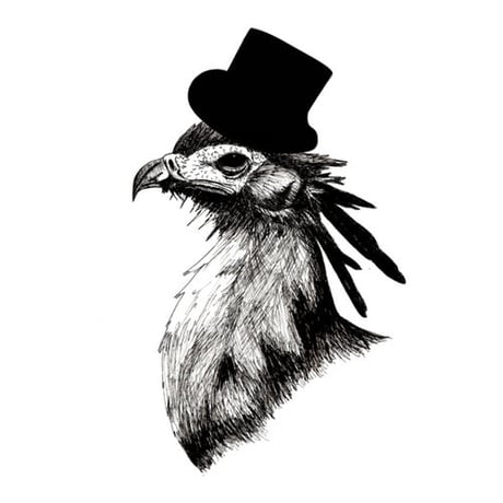 BIRD hat（5.6oz）