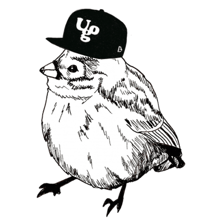 BIRD CAP（iPhone5/5s）