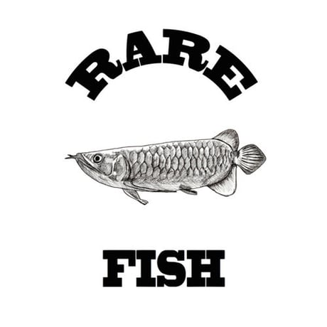 RARE FISH（iPhone6）