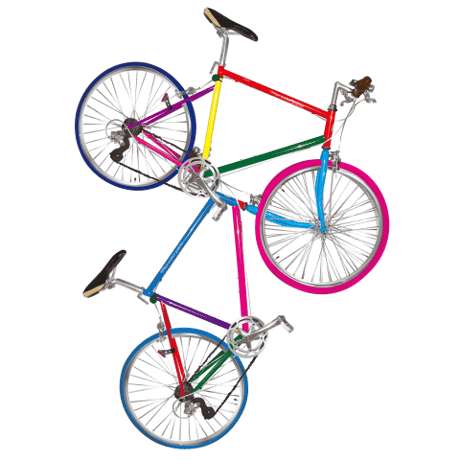 Color bicycle（sweat black）