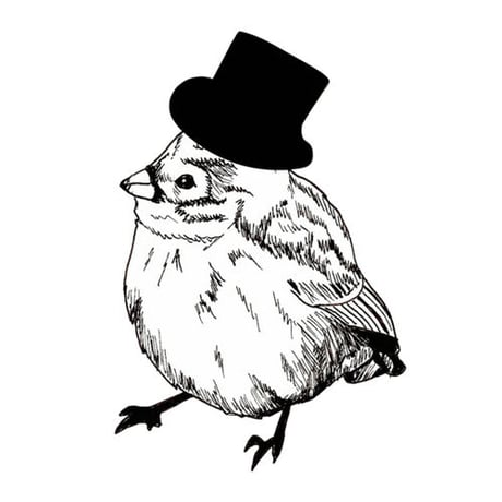 BIRD HAT（iPhone5/5s）