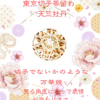 「新しい挑戦・前向きな変化・招福」東京切子帯留め　天竺牡丹　～ダリア～　アンバー
