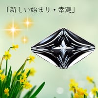 「新しい始まり・幸運」東京切子帯留　水仙 　黒