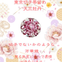 「新しい挑戦・前向きな変化・招福」東京切子帯留め　天竺牡丹　～ダリア～　ライト金赤