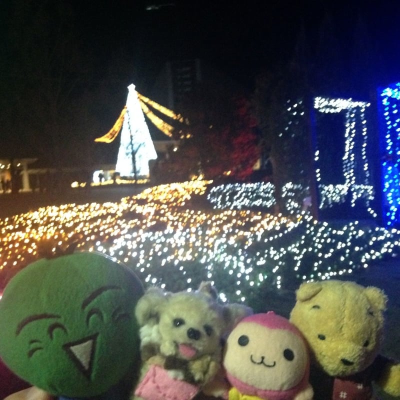 クリスマス企画】イルミネーションツアー | ぬいぐるみ旅行社 すだち