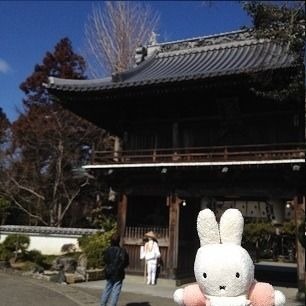 開創1200年！お遍路代参】四国八十八ヶ所霊場巡礼 | ぬいぐるみ旅行社