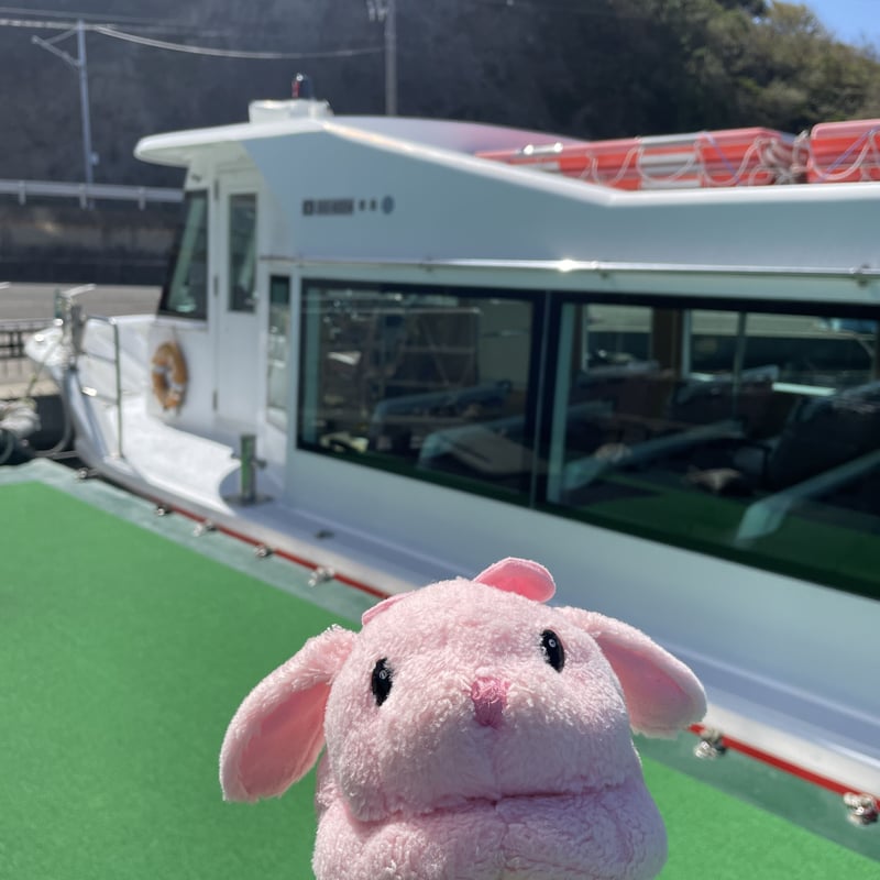 超人気！鳴門のうず潮ツアー Naruto Eddy(Whirlpools) Tour |