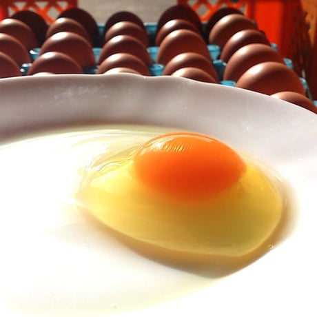 八丈島ジャージープリン1個