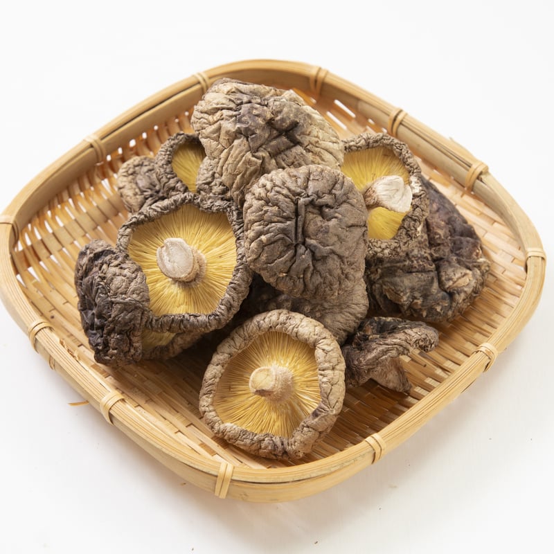 乾燥香茸150g　香り強い！！　黒虎掌菌　革茸　シシタケ　いのはな　珍味　高級茸 乾燥香茸150g 香り強い！！ 黒虎掌菌 革茸 シシタケ いのは