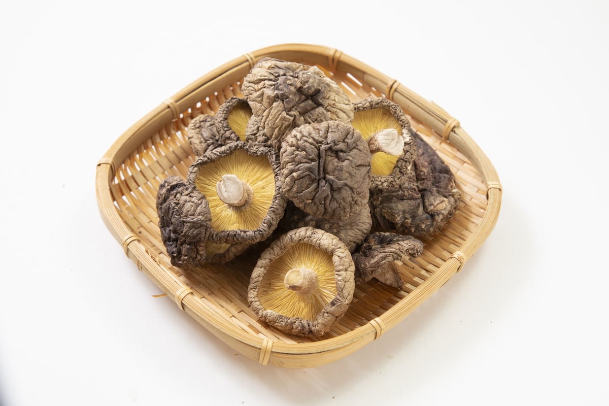 Gari 乾燥椎茸 乾燥シイタケ（50g×5P） | 株式会社能延通商