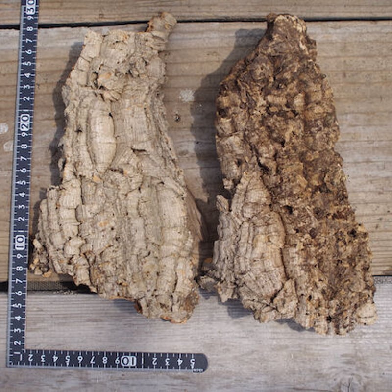 コルク コルク板 板付け 大型 樹皮素材 3点の セットです。 cumicumi_c3048