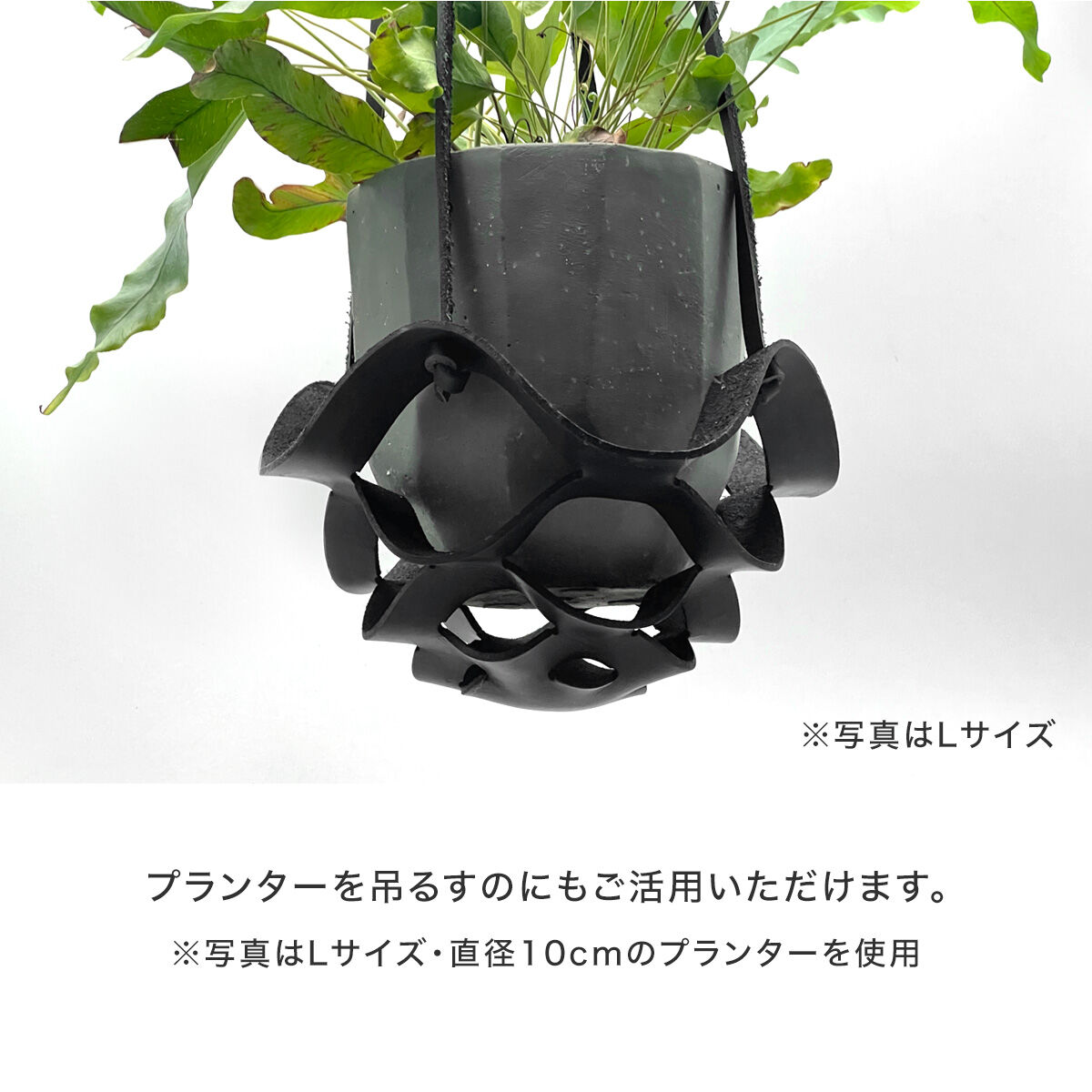 レザープランツハンガー Mサイズ | air-plants TENGU-DO