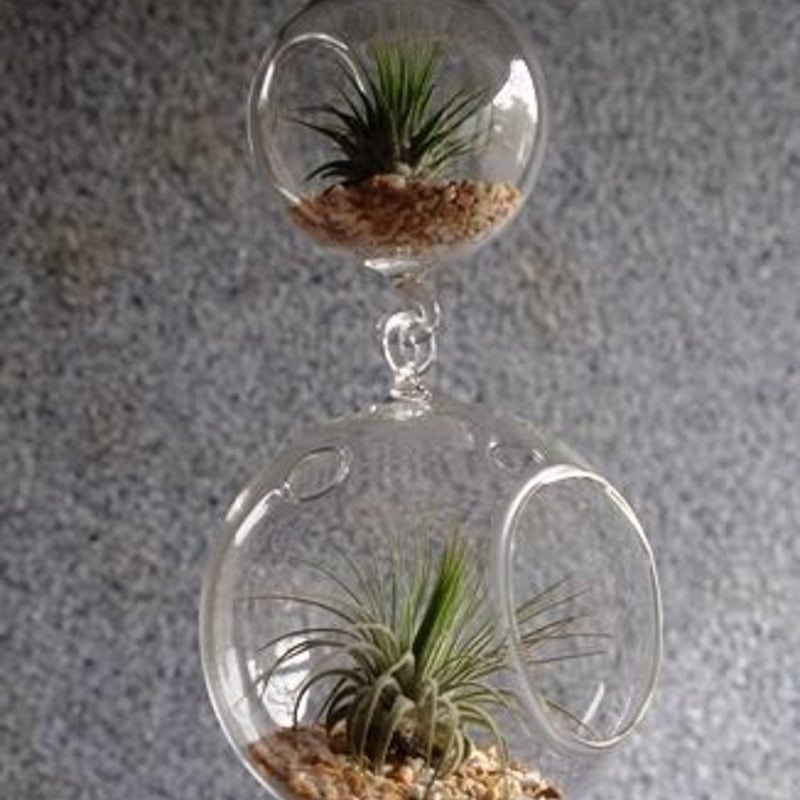ガラスハンギングボール 大 単品 | air-plants TENGU-DO