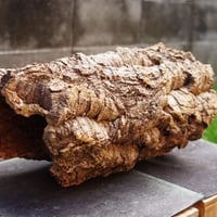 バージンコルク　カヌー（４０ｃｍ）