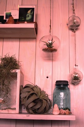 ガラスハンギングボール 小 単品 | air-plants TENGU-DO