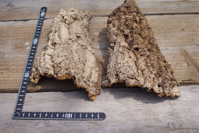 ポルトガル産コルク樹皮、水苔セット IMG_20230805_100228_2_1_9d6197