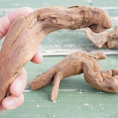 【スタッフ特選】流木3本セット02 Driftwood