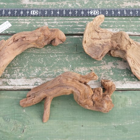 【スタッフ特選】流木3本セット02 Driftwood