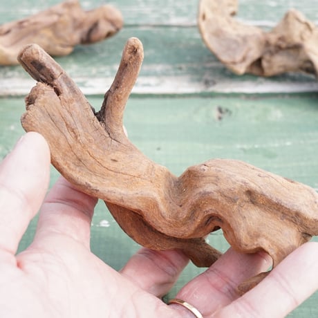 【スタッフ特選】流木3本セット02 Driftwood