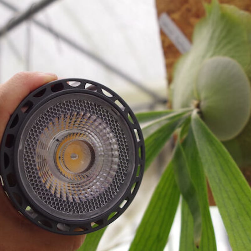 HELIOS ヘリオス グリーン LED 2個セット ※送料無料！ 植物育成ライト