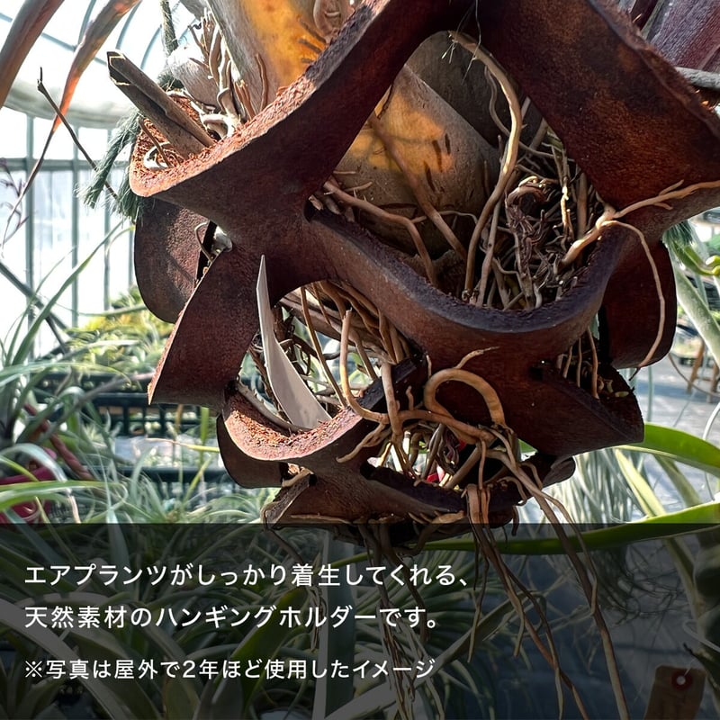 レザープランツハンガー Lサイズ | air-plants TENGU-DO
