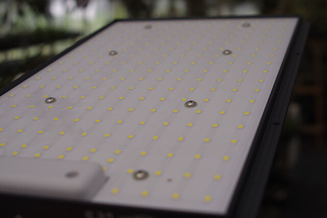 HELIOS ヘリオス グリーン LED PRO プロ仕様 植物育成ライト HELIOS ヘリオス グリーン LED PRO プロ仕様 植物育成ライト