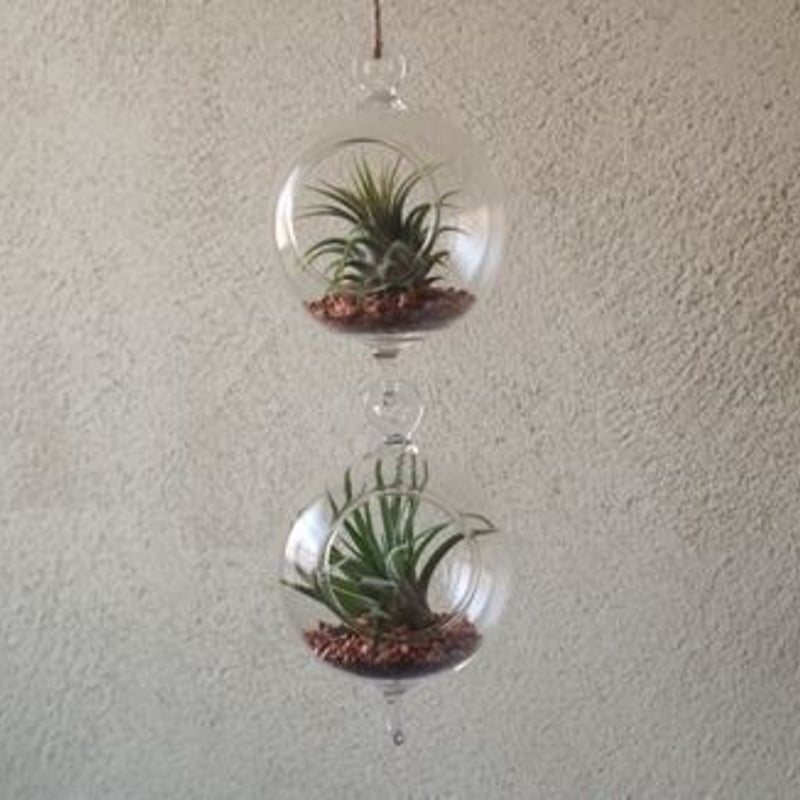 ガラスハンギングボール 小 単品 | air-plants TENGU-DO