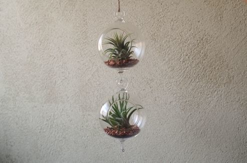 絵付きハンギングガラスボール／キャンドル／プランツポット　５点組　G13209 ガラスハンギングボール 小 単品 | air-plants TENGU-DO