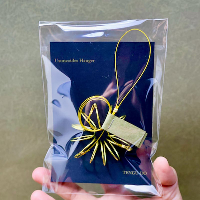 ウスネオイデス 専用ハンガー | air-plants TENGU-DO