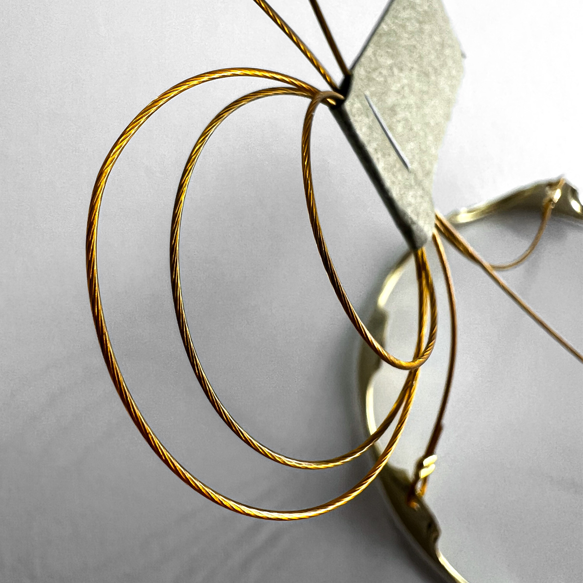 ▪️ウスネオイデス　室内管理　太葉　超特大サイズ▪️ ▪️ウスネオイデス 室内管理 太葉 超特大サイズ▪️