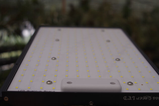 HELIOS ヘリオス グリーン LED PRO プロ仕様 植物育成ライト HELIOS ヘリオス グリーン LED PRO プロ仕様 植物育成ライト