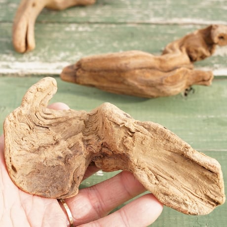【スタッフ特選】流木3本セット02 Driftwood