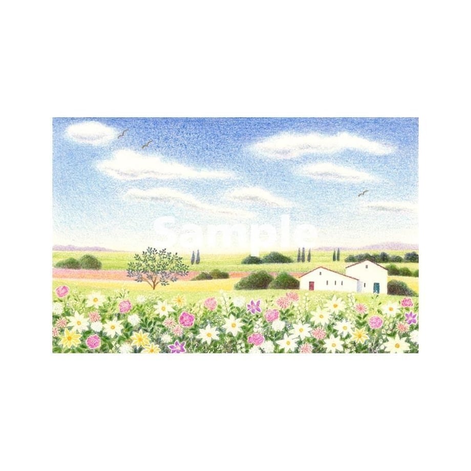53cf55d283f1534f9b00002c
