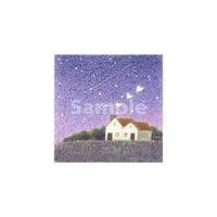 星の降る夜
