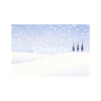 新雪