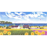 セントローレンス川の夏