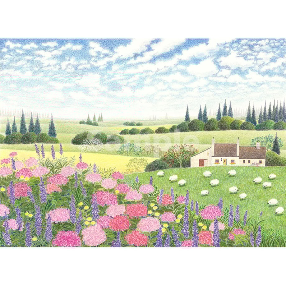 56dcfae9ef3377fce900a3a9