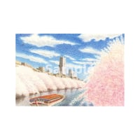 未来への花道