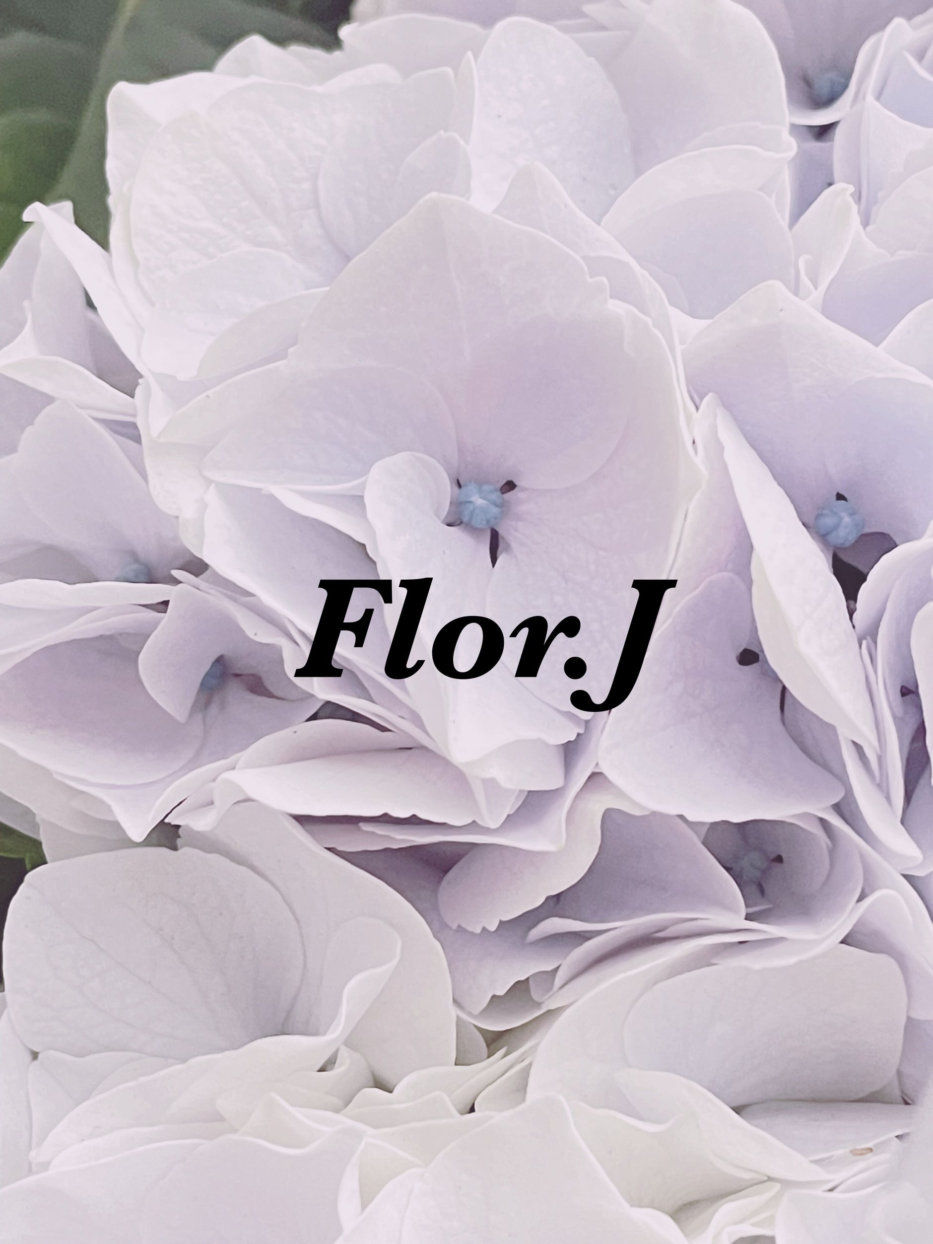 flor.J