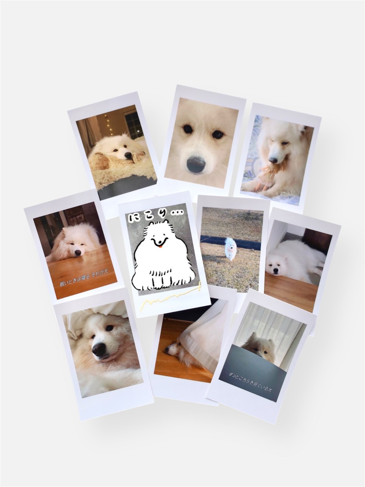 ランダムもうふチェキ風カード第二弾 | nagakiperm ONLINE STORE