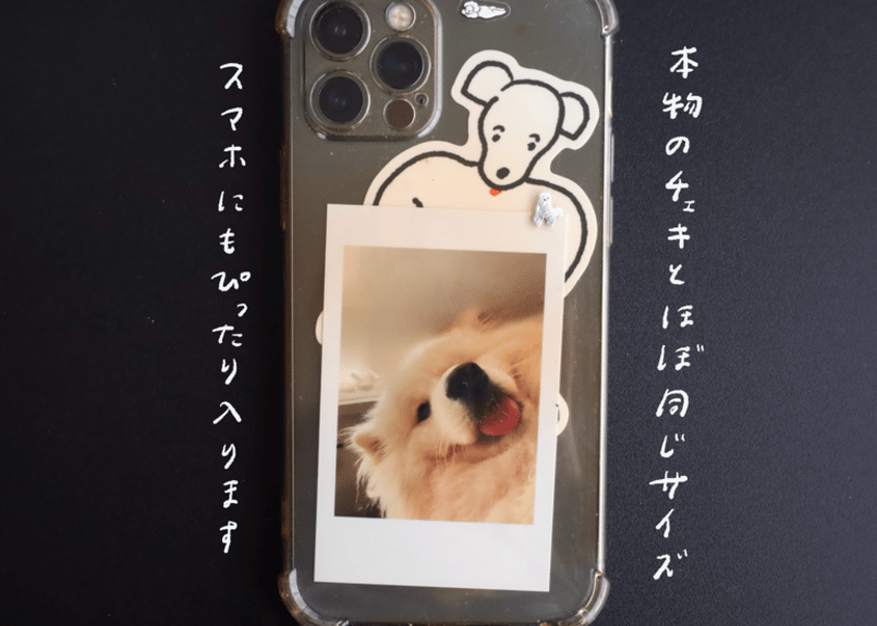 ランダムもうふチェキ風カード | nagakiperm ONLINE STORE