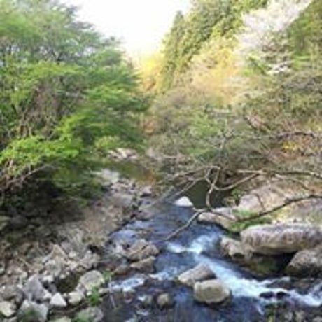 【台風19号被災　ひっぽ応援】１口500円カンパ