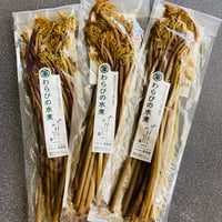 わらびの水煮120g袋　3個セット （レターパック送付）